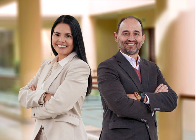 Maestría en Gobierno de las Organizaciones